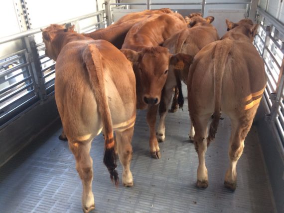 whatsapp-image-2016-09-19-at-13-17-41