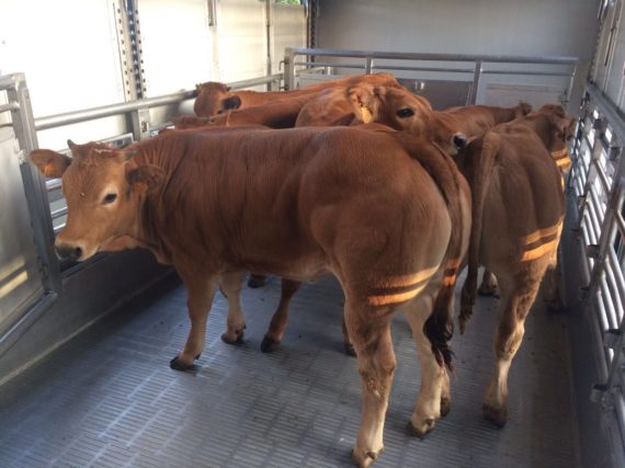 whatsapp-image-2016-09-19-at-13-18-38